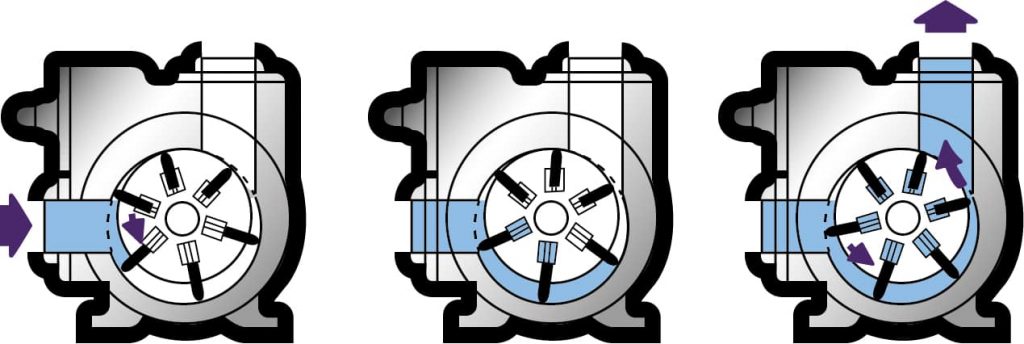 Rotary Vane Pump - Vacculex