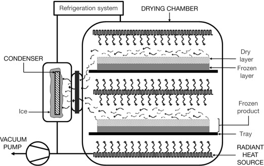 Freeze Drying System-Vacculex