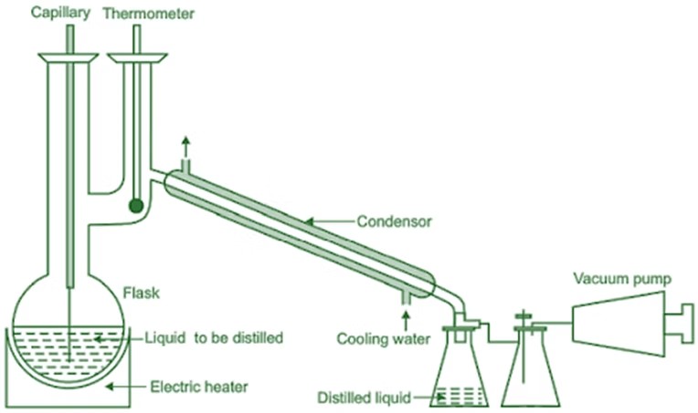 Vacuum Pump for Molecular Distillation-Vacculex