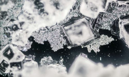 Crystallization-Vacculex